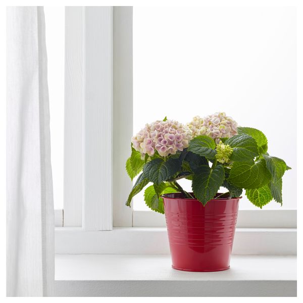 Кашпо СОККЕР, д/дома/улицы, красный (12 см) - фото 3