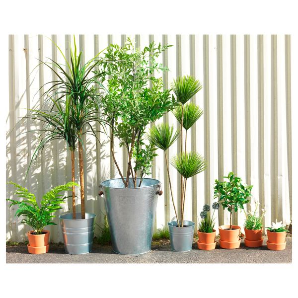 Искусственное растение в горшке ФЕЙКА, д/дома/улицы, Циперус (17 см) - фото 2