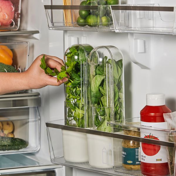 KLIPPKAKTUS КЛИППКАКТУС Контейнер для зелени д/холодильника - фото 3