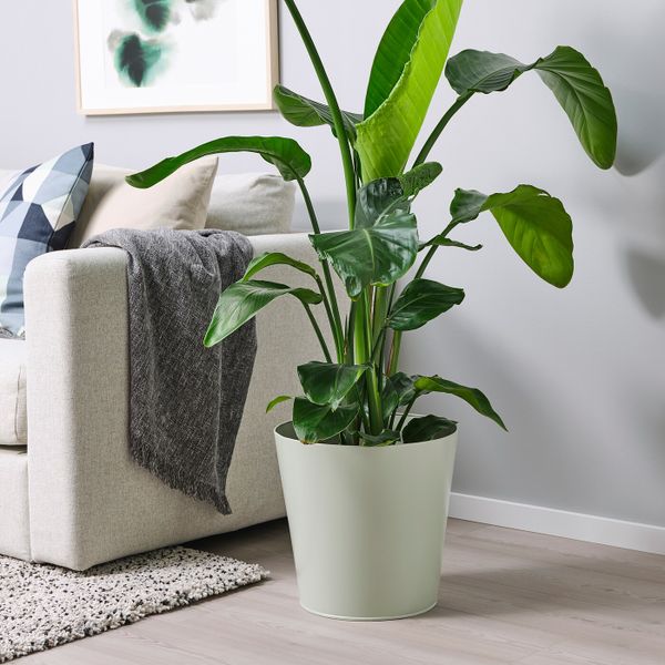 Кашпо, для дома, улицы светло-зеленый 32 см IKEA VITLÖK ВИТЛОК 004.852.00 - фото 2