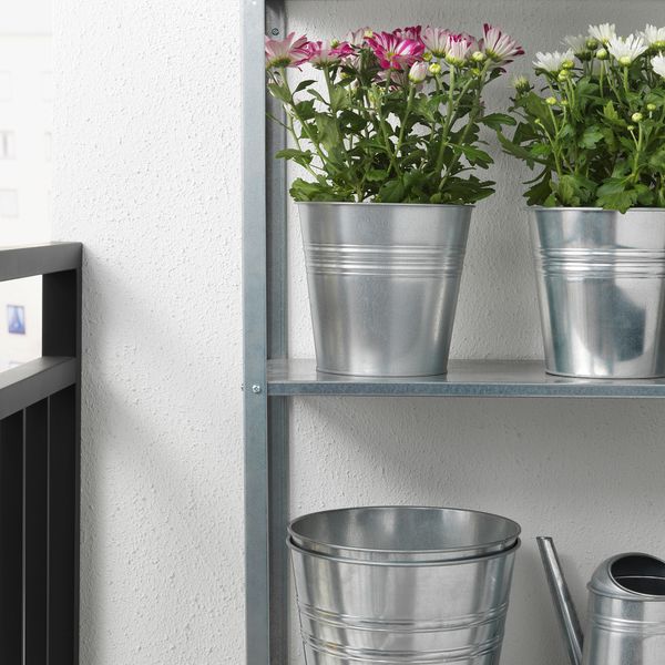 Растение в горшке IKEA CHRYSANTHEMUM 305.930.81 - фото 3