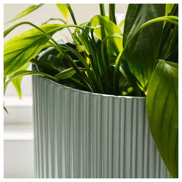 DAKSJUS ДАКСЬЮС Горшок цветочный - светло-зеленый 15 см - фото 4