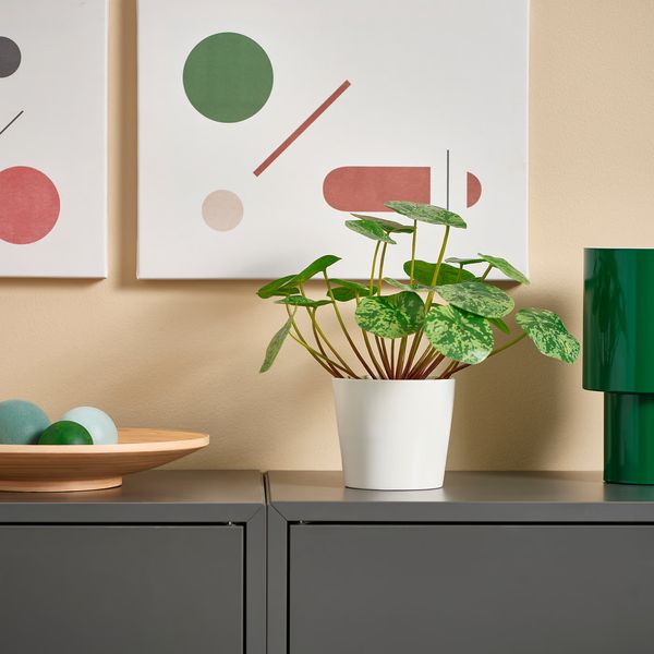 FEJKA Искусственное растение в горшке - д/дома/улицы Пилея 9 см - фото 2