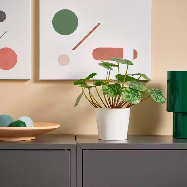 FEJKA Искусственное растение в горшке - д/дома/улицы Пилея 9 см - фото 2