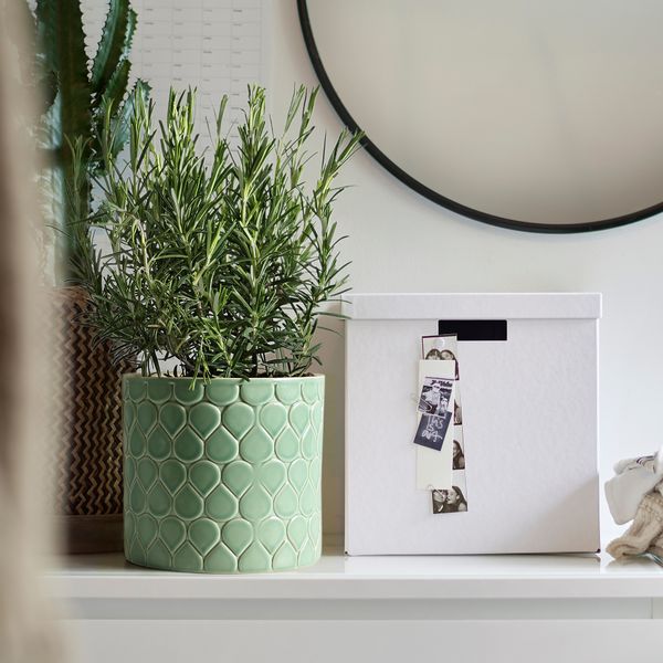 Кашпо, 12 см, для дома, улицы зеленый IKEA CHIAFRÖN ЧИАФРЁН 505.637.85 - фото 4