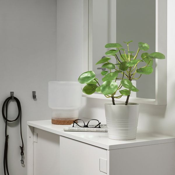 Искусственное растение в горшке, для дома, улицы Пилея 12 см IKEA FEJKA ФЕЙКА 503.953.01 - фото 3