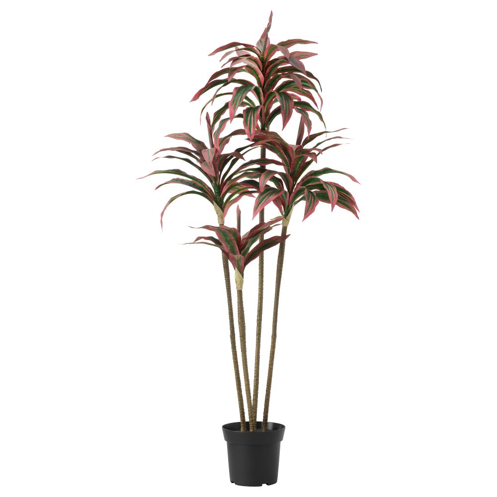 Искусственное растение в горшке ФЕЙКА, Драцена (15 см) - фото 1