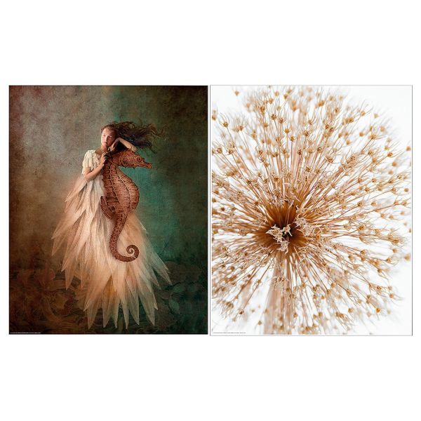 Постер, Женщина и морской конек 40x50 см IKEA BILD БИЛЬД 304.860.57 - фото 1