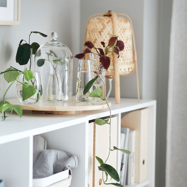 Стакан, прозрачное стекло 45 сл IKEA IVRIG ИВРИГ 503.721.73 - схема-чертеж с размерами