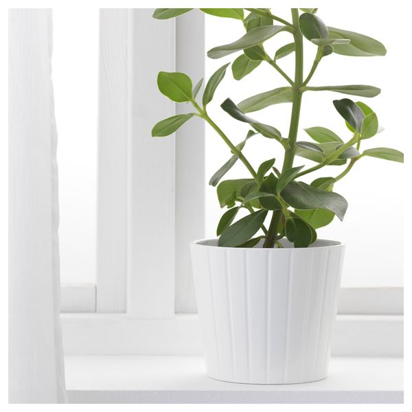 Кашпо КАРДЕМУММА, белый, различные орнаменты - фото 3