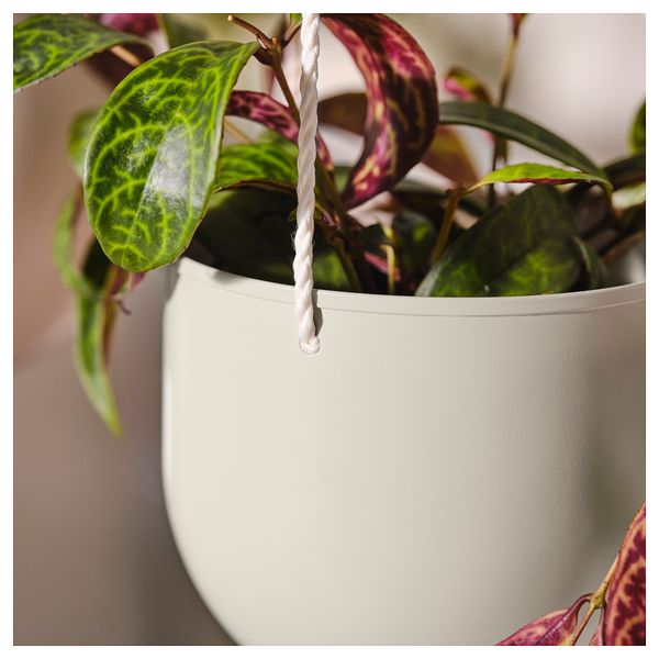 Набор подвесных кашпо,2 штуки, для дома, улицы светлый серо-бежевый IKEA DAKSJUS 205.688.88 - фото 4