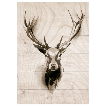 Картина, 70x100 см, Имитация дерева IKEA PJÄTTERYD ПЬЕТТЕРИД 105.365.53