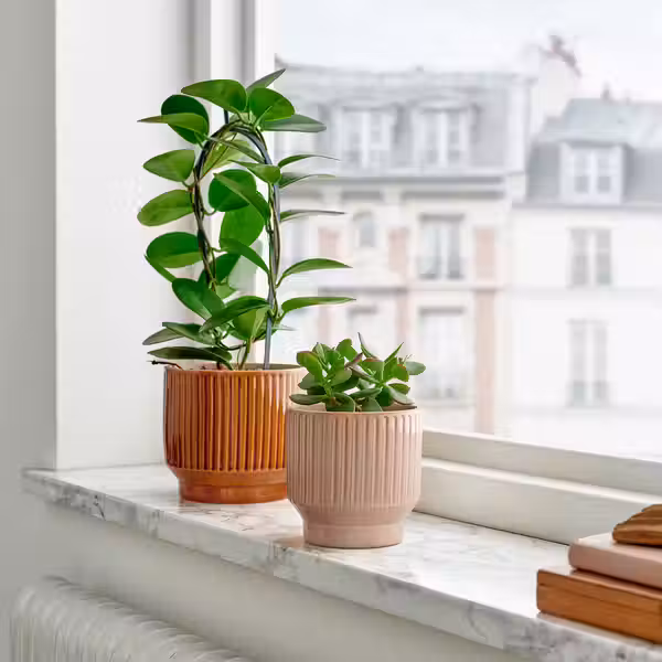 HONUNGSPALM ХОНУНГСПАЛМ Кашпо - д/дома/улицы/бежевый 9 см - фото 2