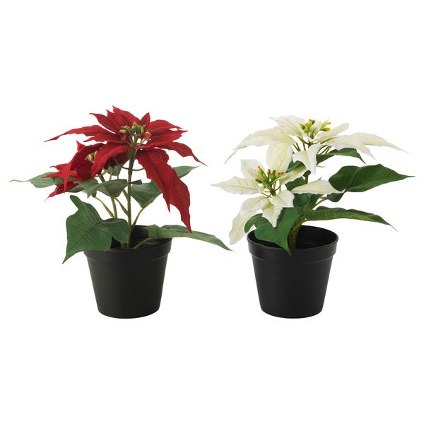 Искусственное растение в горшке ФЕЙКА, "Рождественская звезда" разные цвета (10.5 см) - схема-чертеж с размерами