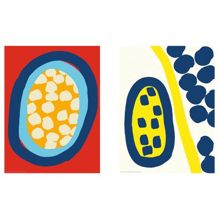 Постер, Temara I, 30x40 см IKEA DRÖMBILD ДРЁМБИЛЬД 404.469.33