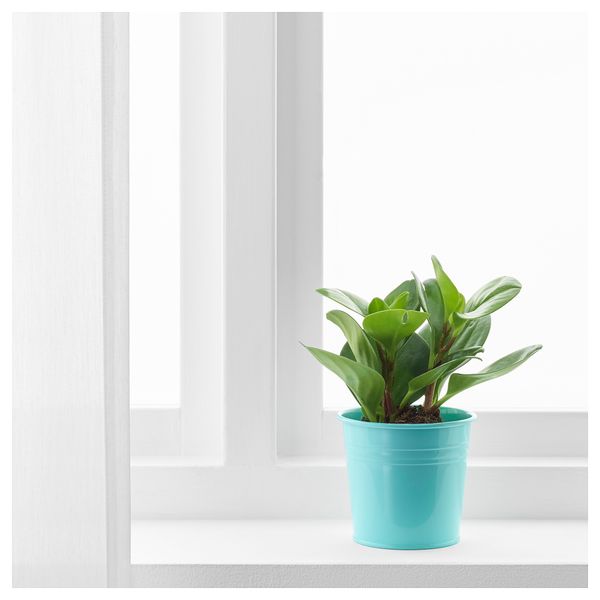 Кашпо СОККЕР, д/дома/улицы, бирюзовый - фото 2