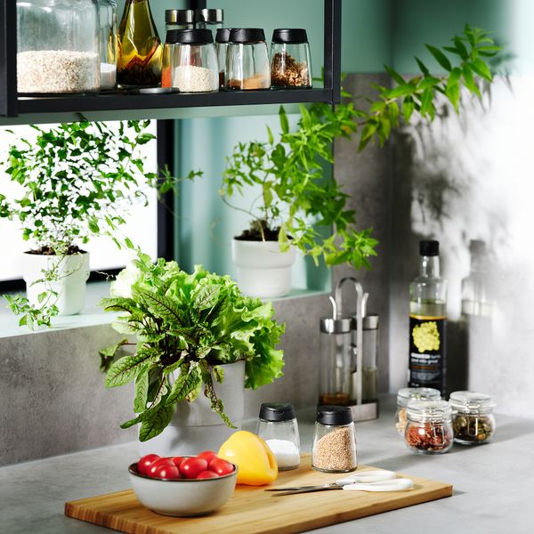 Банка для специй, 15 сл, стекло, черный IKEA IKEA 365 + HJÄLTE ИКЕА 365 + ЙЭЛТЕ IHÄRDIG ИКЕА 365 + ИГЭРДИГ 201.528.70 - схема-чертеж с размерами