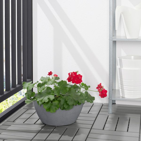 Кашпо, для дома, улицы серый 33 см IKEA CITRUSKRYDDA ЦИТРУСКРЮДДА 804.809.82 - фото 2