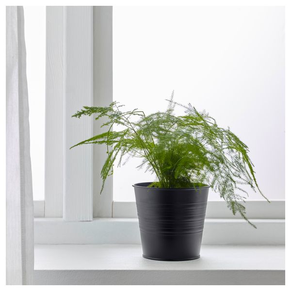 Кашпо СОККЕР, д/дома/улицы, черный (12 см) - фото 3