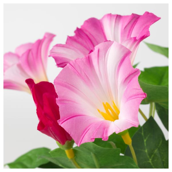 Искусственное растение в горшке ФЕЙКА, Ипомея трехцветная розовый (9 см) - фото 2