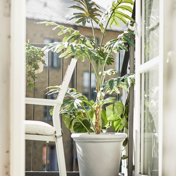 Кашпо, для дома, улицы бежевый 32 см IKEA CHILIPEPPAR ЧИЛИПЕППЭР 905.050.53 - фото 2