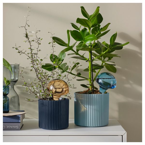 Система самополива, 40 сл, стекло разные цвета IKEA DAKSJUS 805.671.07 - фото 3