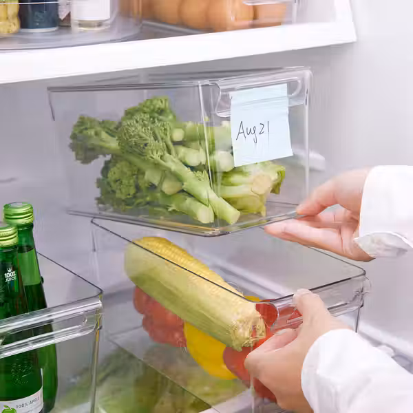 KLIPPKAKTUS КЛИППКАКТУС Контейнер для холодильника - прозрачный 32x14x14 см - фото 6