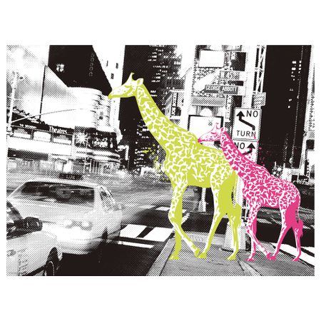 Постер, Жизнь – это приключение, 40x30 см IKEA DRÖMBILD ДРЁМБИЛЬД 704.418.68