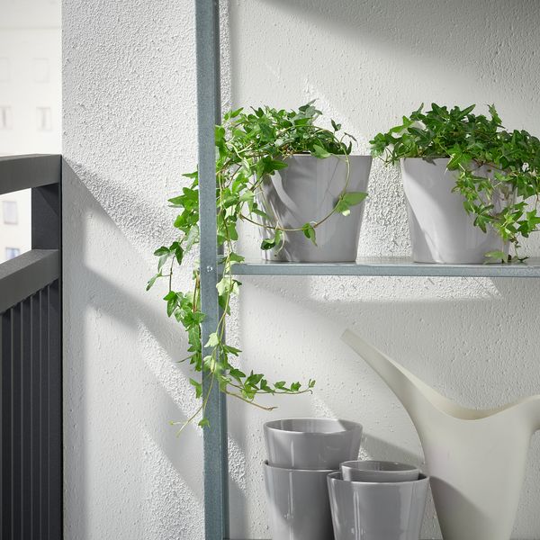 Кашпо, для дома, улицы серый, 15 см IKEA SKOGSVINBÄR СКОГСВИНБЭР 905.084.43 - фото 6