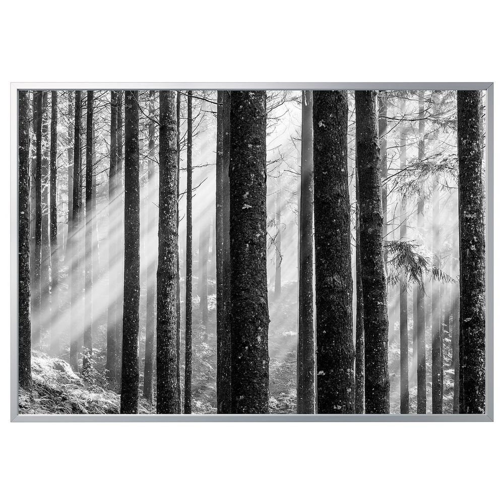 Картина с рамой, Солнечные лучи/цвет алюминия 200x140 см IKEA БЬЁРКСТА 492.978.82 - фото 1