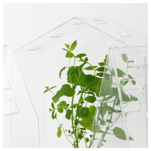 Теплица, 3 предмета ВИНДРЮВА, д/дома/улицы - фото 5