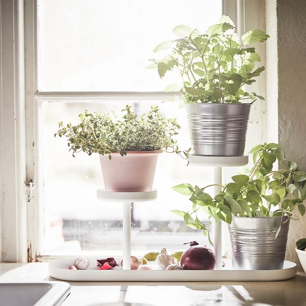 Пьедестал для цветов, белый, 24 см IKEA CHILISTRÅN ЧИЛИСТРОН 604.922.45 - фото 5