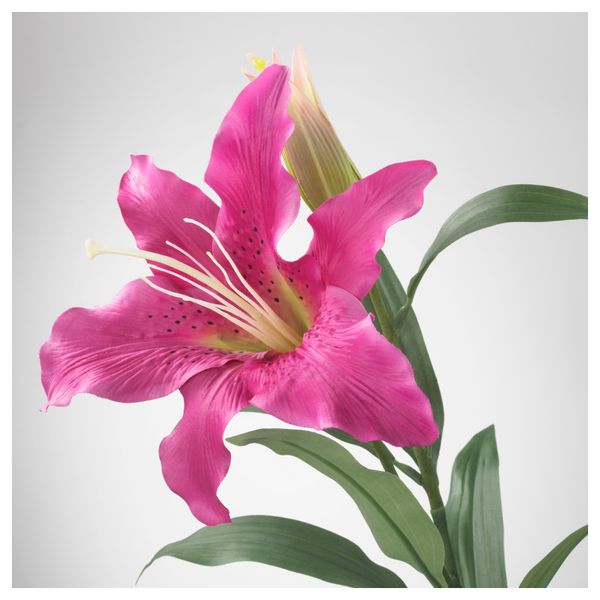 Цветок искусственный СМИККА, лилия, розовый (85 см) - схема-чертеж с размерами