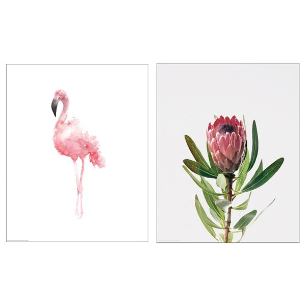 Постер, Розовый фламинго 40x50 см IKEA БИЛЬД 504.738.36 - схема-чертеж с размерами
