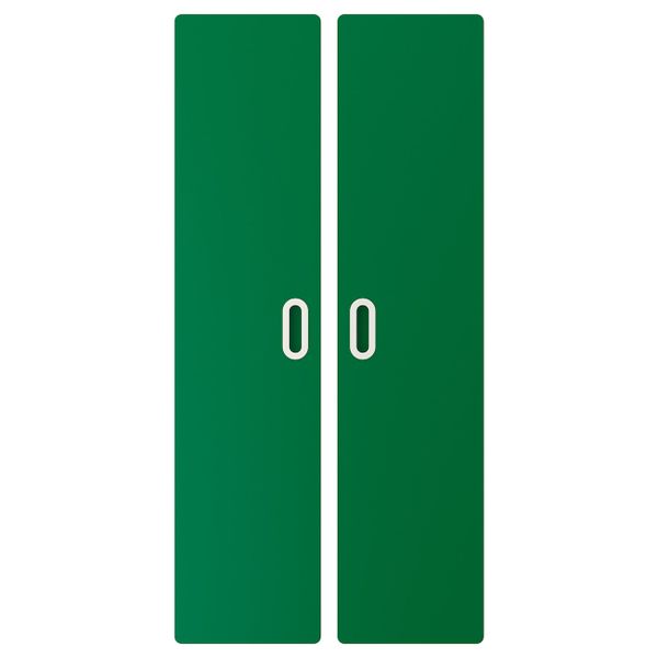 Дверь, зеленый 60x128 см 2 шт IKEA FRITIDS ФРИТИДС 803.867.48 - фото 1