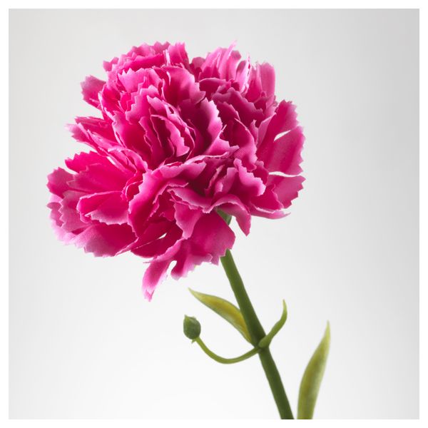 Цветок искусственный СМИККА, гвоздика, темно-розовый (30 см) - схема-чертеж с размерами