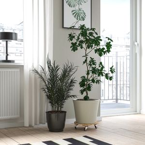 IKEA, вид спереди