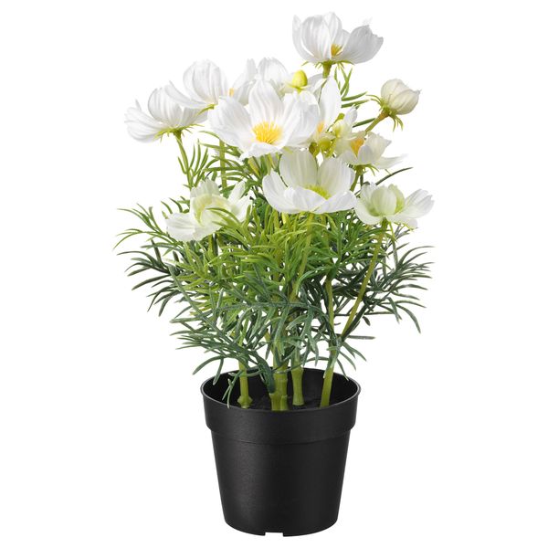 Искусственное растение в горшке ФЕЙКА, д/дома/улицы, космея белый (9 см) - фото 1