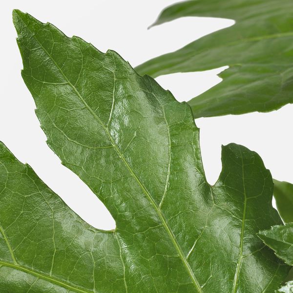 IKEA, дополнительный ракурс - схема-чертеж с размерами