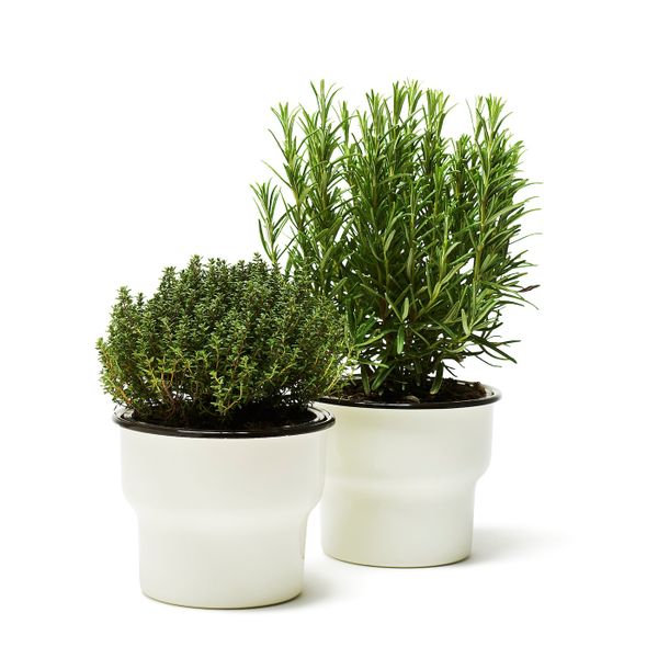 Кашпо, для дома, улицы/белый 12 см IKEA CITRONSYRA ЦИТРОНСЮРА 503.874.00 - фото 6