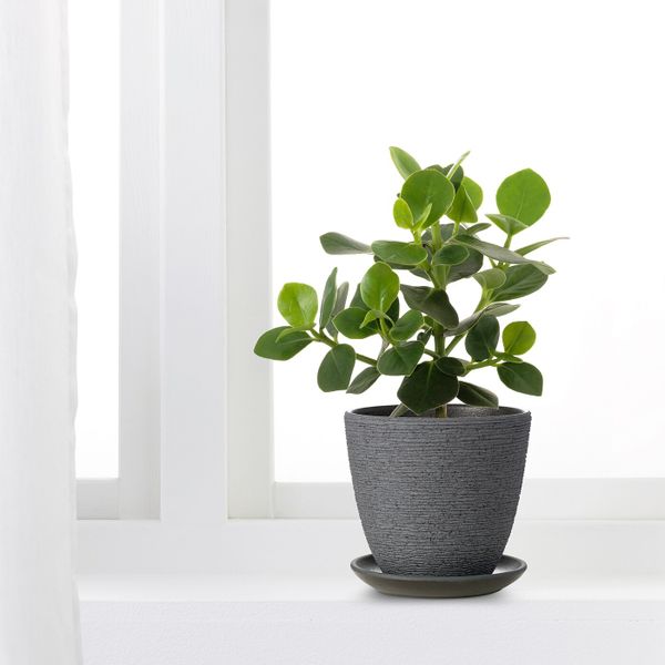 Горшок цветочный, серый 12 см IKEA СКАКИГ 704.313.55 - схема-чертеж с размерами