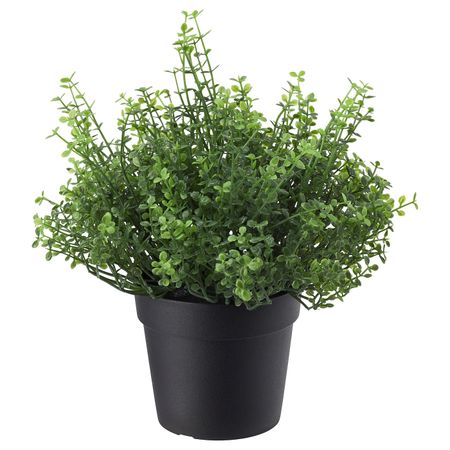 Искусственное растение в горшке, для дома, улицы Солейролия 9 см IKEA FEJKA ФЕЙКА 803.953.33