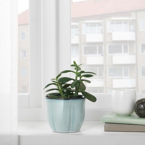 Кашпо, серый, 9 см IKEA СОТКОРСБЭР 304.419.31 - фото 2