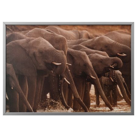 Картина с рамой БЬЁРКСТА, Африканские слоны, цвет алюминия (140x100 см)