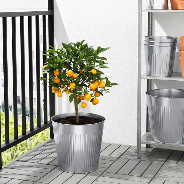 Кашпо, для дома, улицы оцинковка 32 см IKEA ЦИТРОНМЕЛИСС 704.645.05 - фото 3