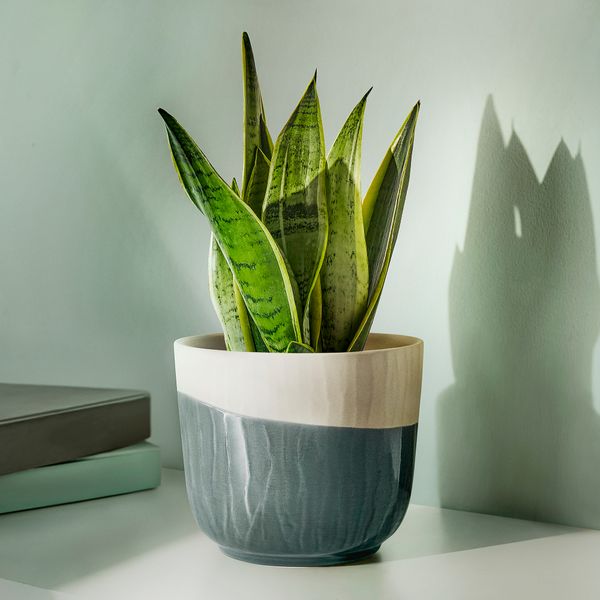 Кашпо, 13 см, серый, ручная работа IKEA SAGOGRYN 405.269.44 - схема-чертеж с размерами