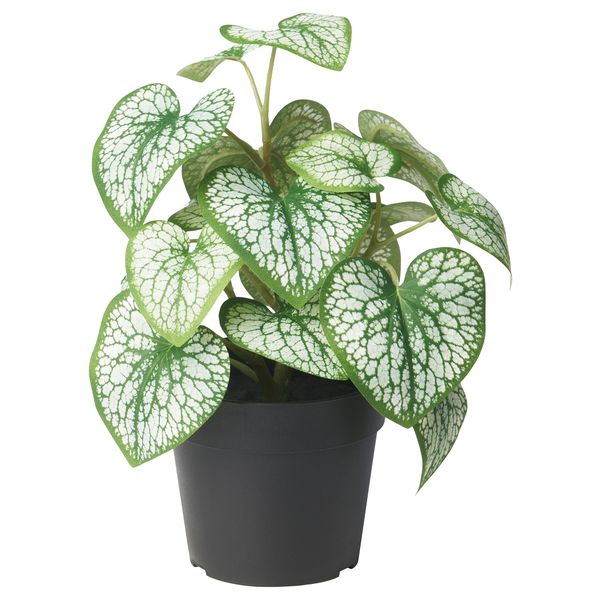 Искусственное растение в горшке, для дома, улицы Кавказская незабудка, 9 см IKEA FEJKA ФЕЙКА 105.825.02 - фото 1