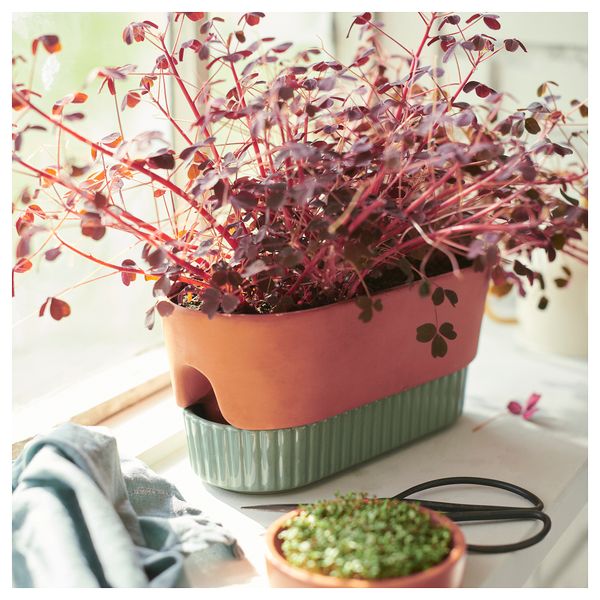 Горшок с самополивом, 27x13 см, терракота, зеленый IKEA DAKSJUS 505.670.95 - фото 3