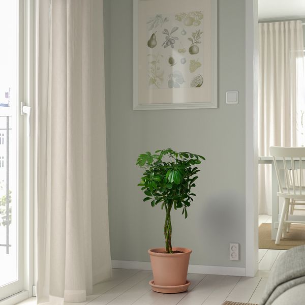 Горшок цветочный с поддоном IKEA MUSKOT МУСКОТBLOMMA МУСКОТБЛОММА 105.607.22 - фото 3