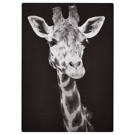 Панель для рамы с динамиком, Крупным планом IKEA SYRLIG СИРЛИГMFONISK 905.478.64